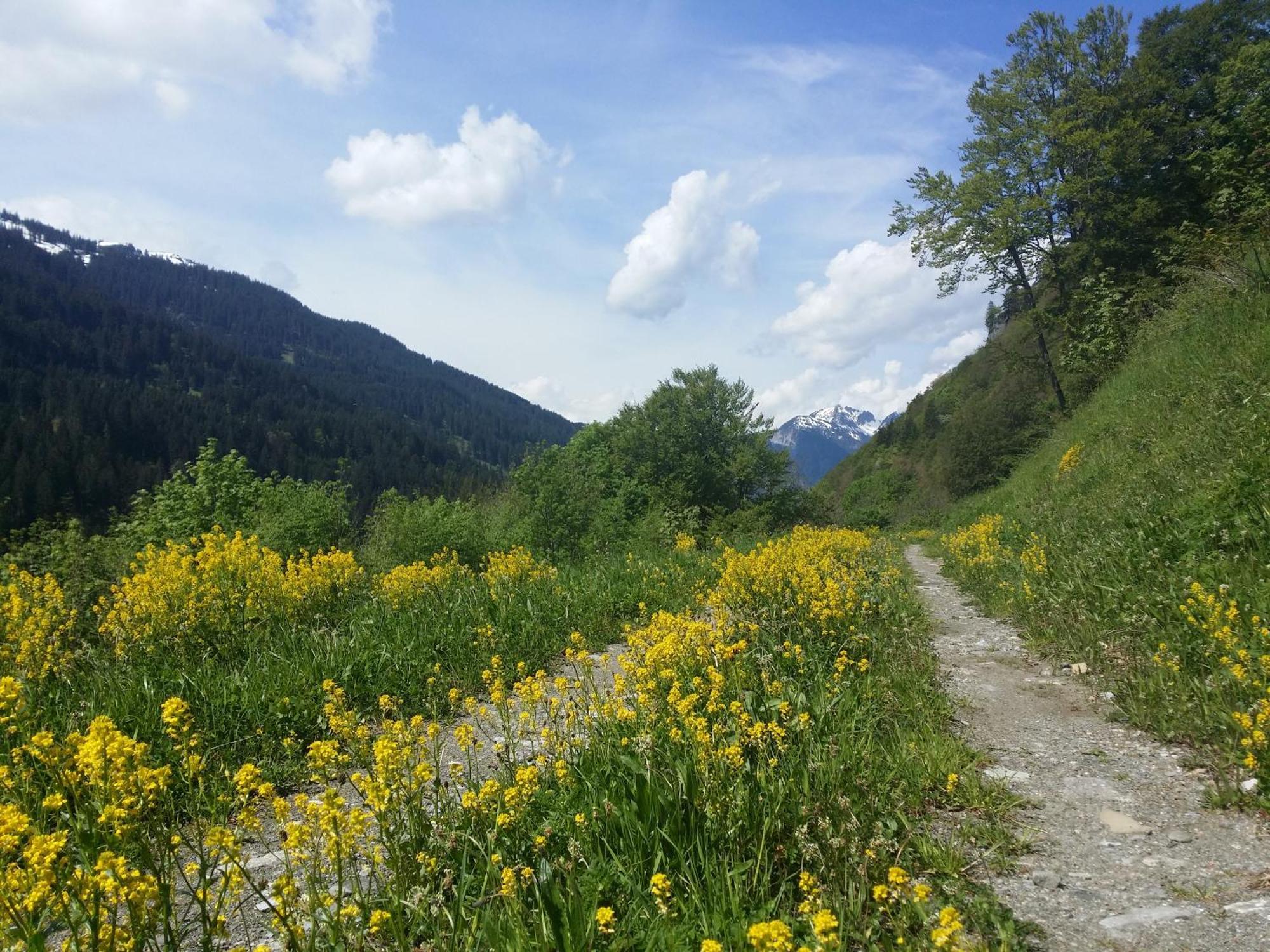 Appartements Burtscher Klosterle am Arlberg ภายนอก รูปภาพ